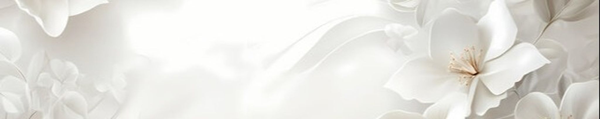 Cover photo for Rebeca Mendoza de Castillo's Obituary