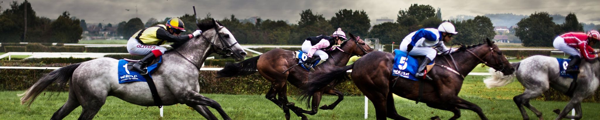 Cover for Robert Sayre Lowe's Obituary