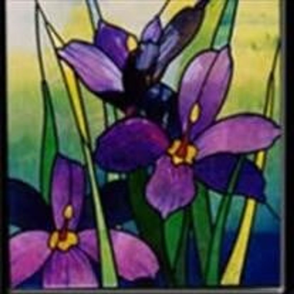 Susan H Kelbaugh