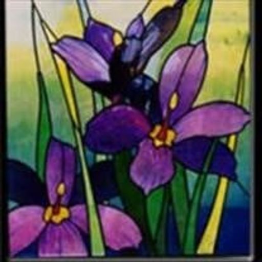 Susan H Kelbaugh Profile Photo