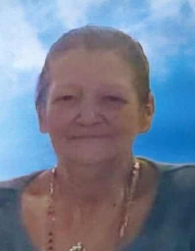 Janice L. (Mcelhenny)  Gerfin Profile Photo