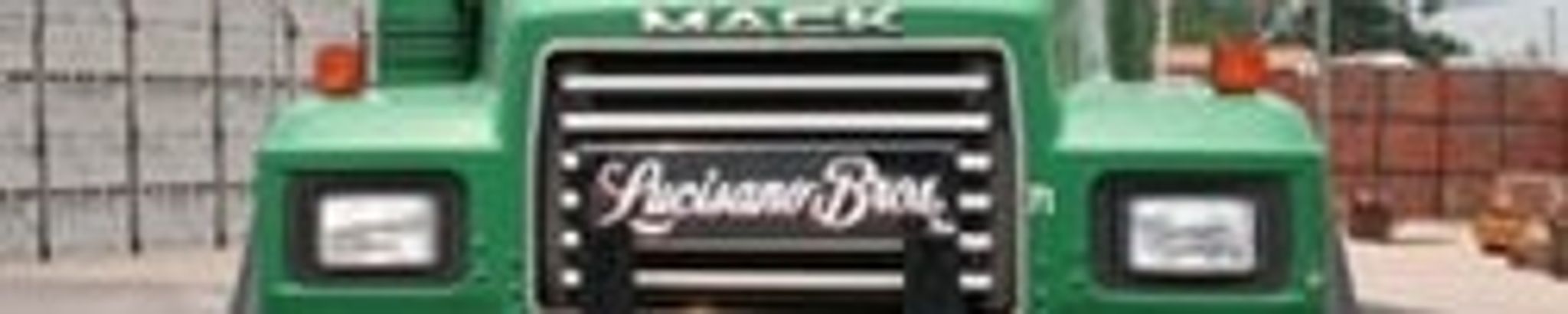 Cover for Rosemarie Pye's Obituary