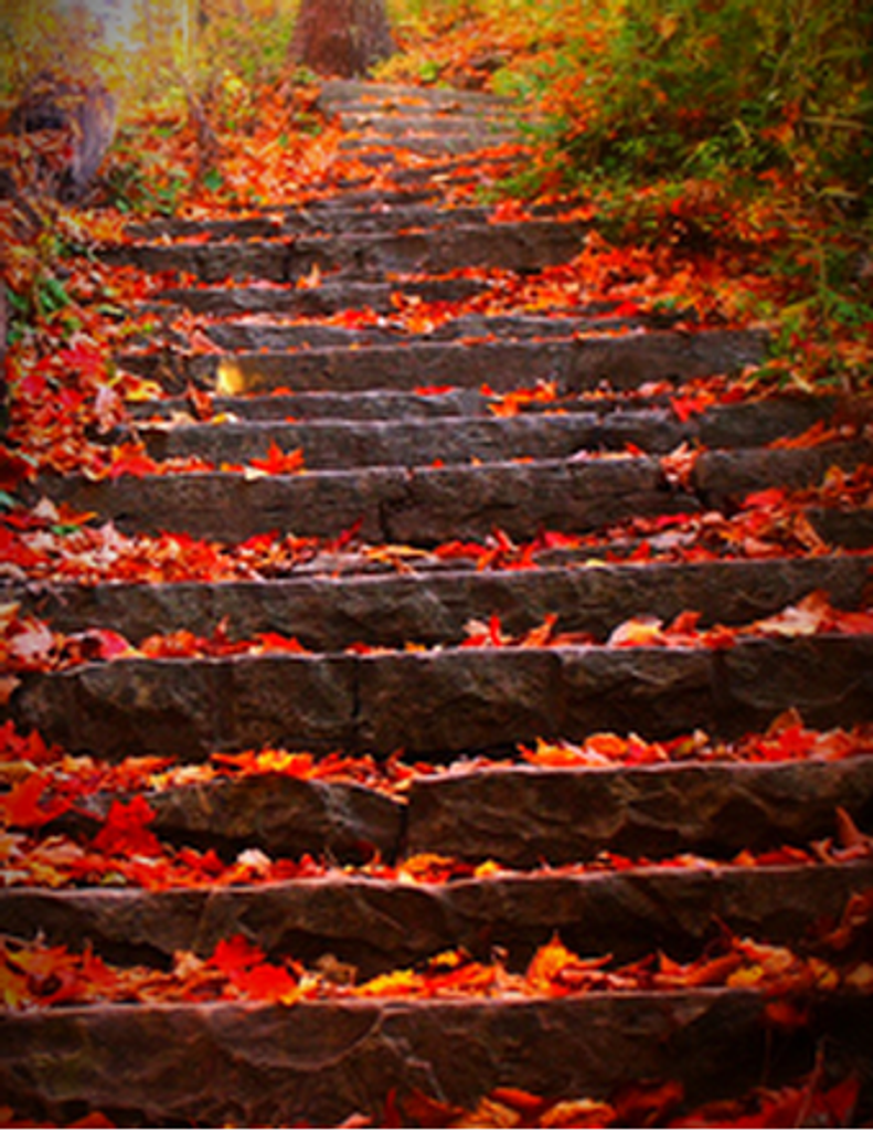 Jackie Franklin Blount, Jr.