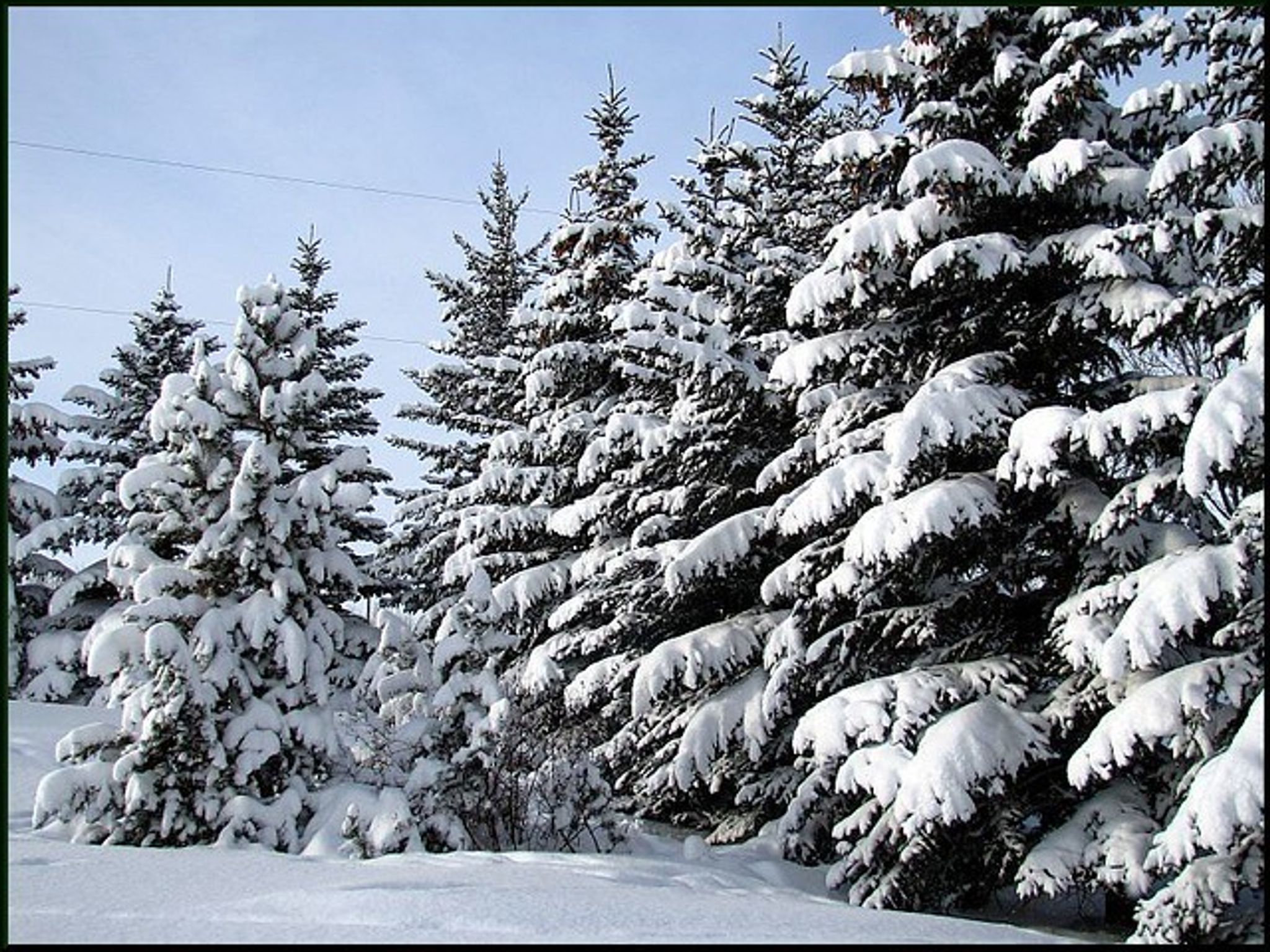 Cover for Sandra Fuller Duvall's Obituary