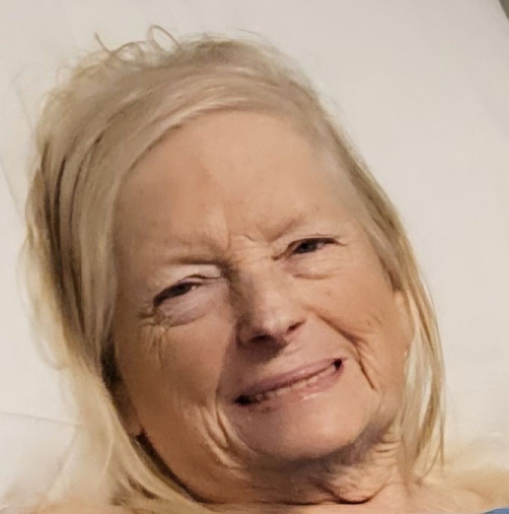 Shirley Ann (Mcelroy)  Hanes