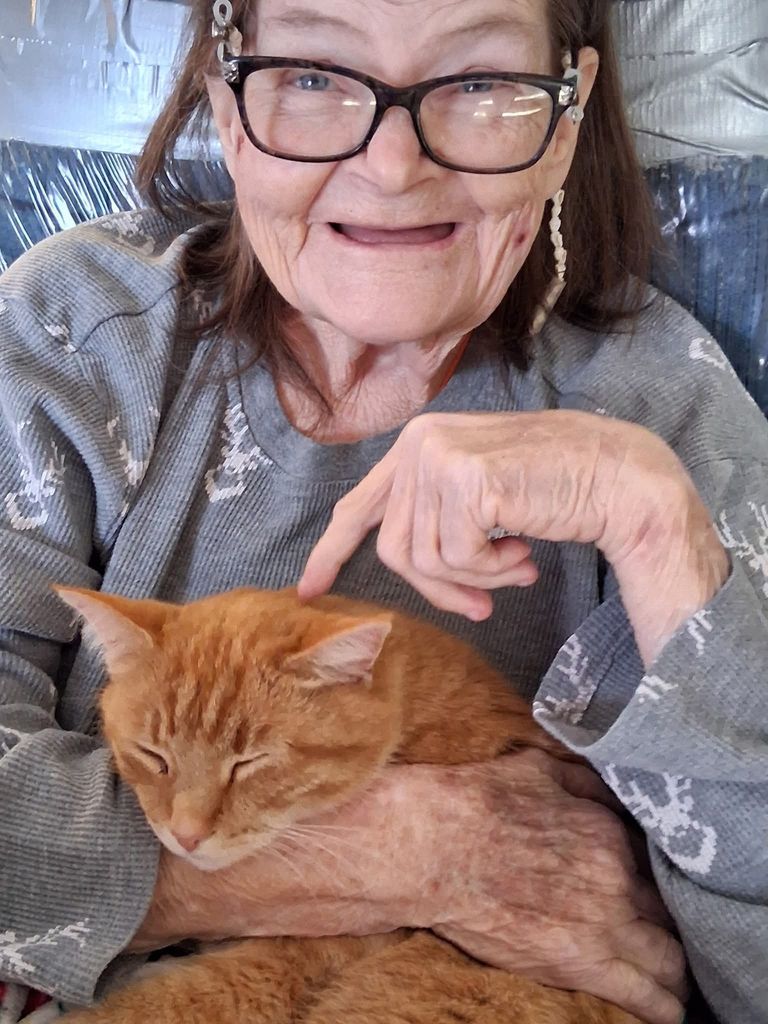 Joyce Lea-Nett Cook Profile Photo