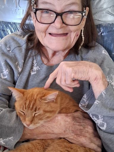 Joyce Lea-Nett Cook's obituary image