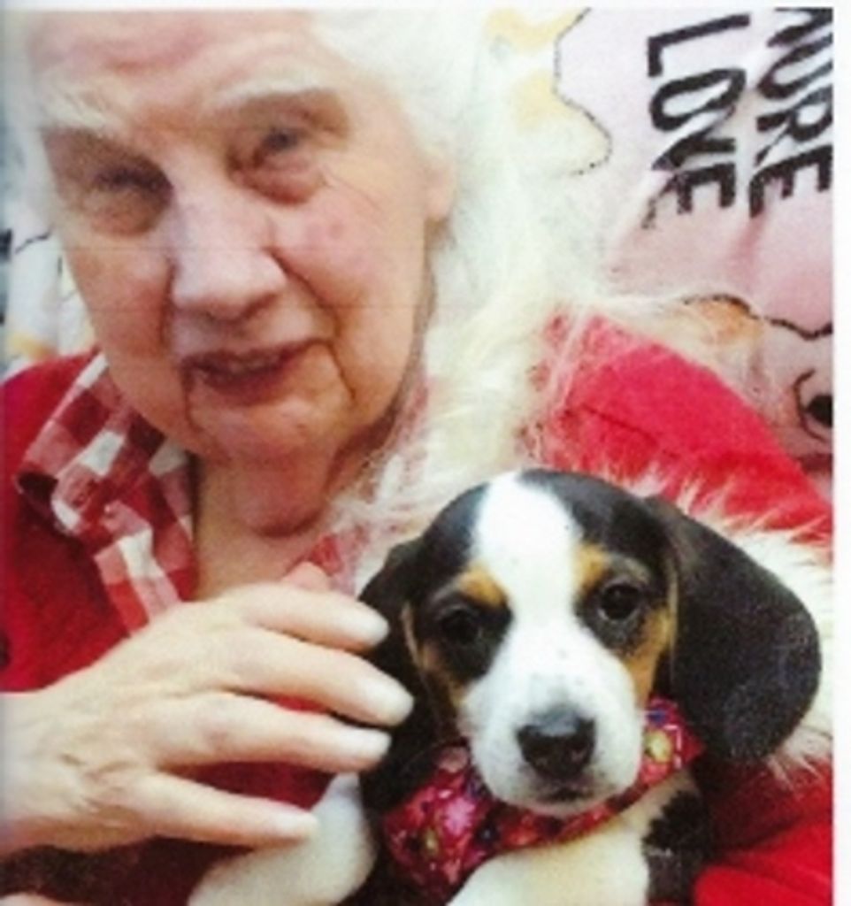 Marie M. Carney Profile Photo