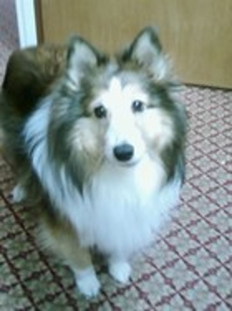Chester