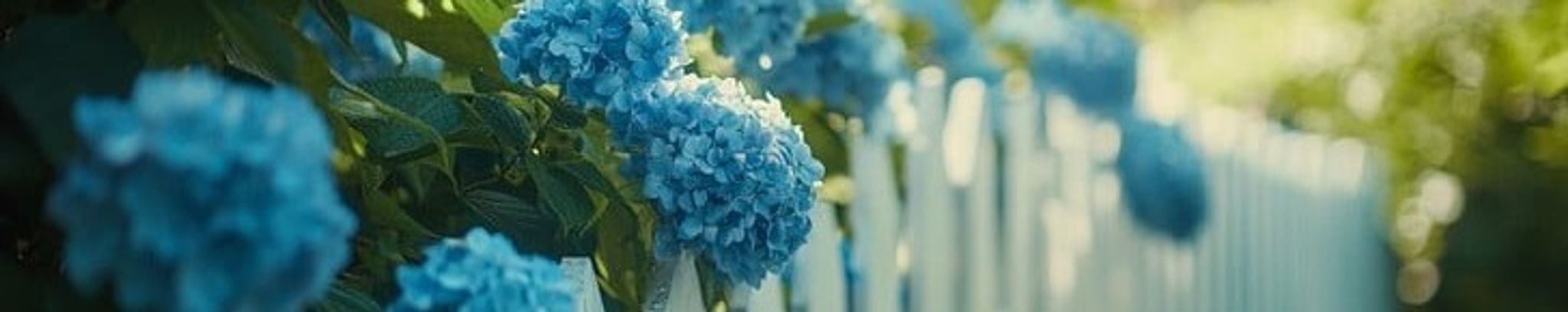 Cover photo for Carol Westerman's Obituary