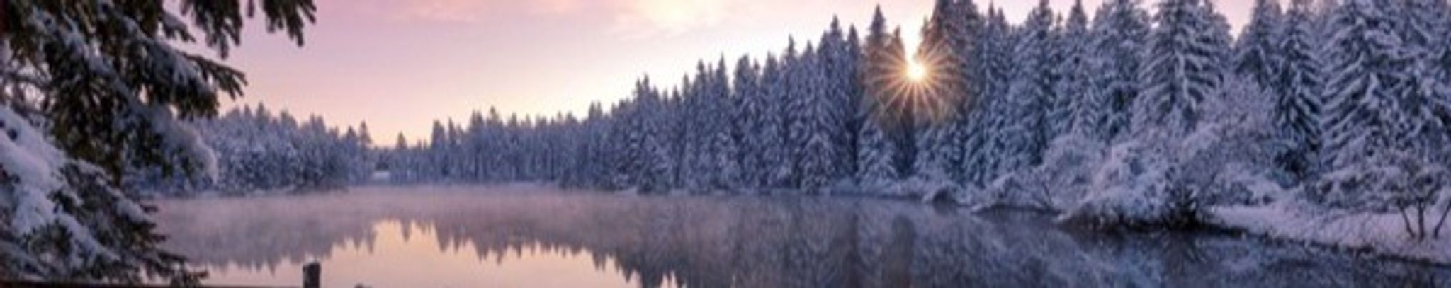 Cover for Marion Stump's Obituary