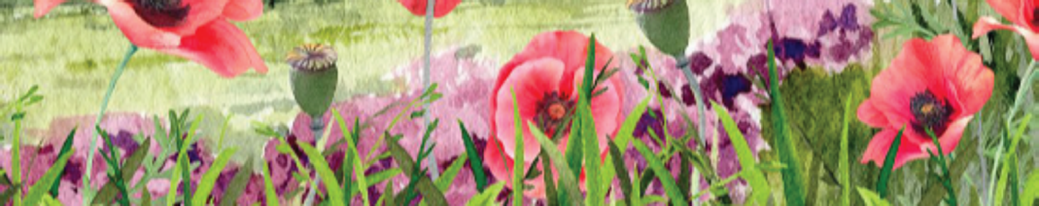 Cover photo for Bona Jean Martens's Obituary