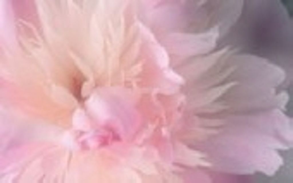 Mildred Salley Moore
