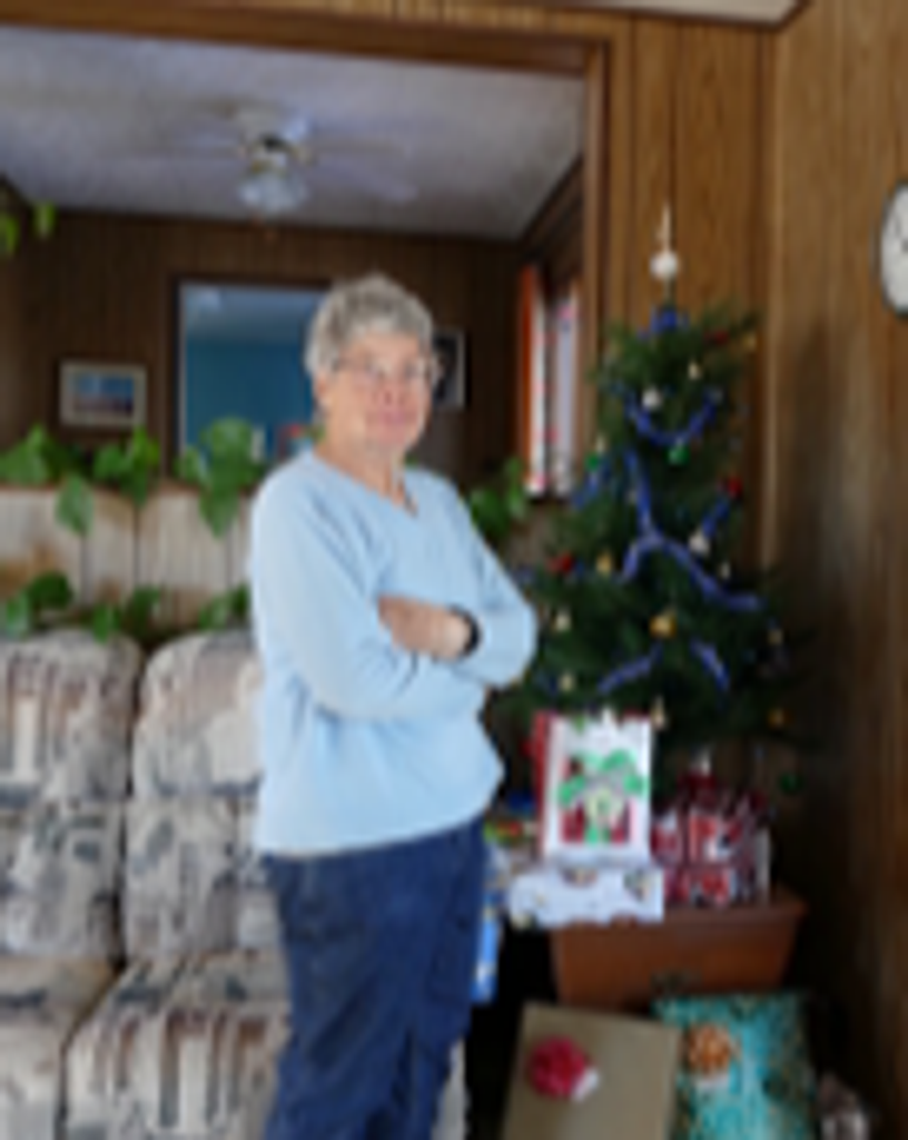 Joyce Lee Wallinder