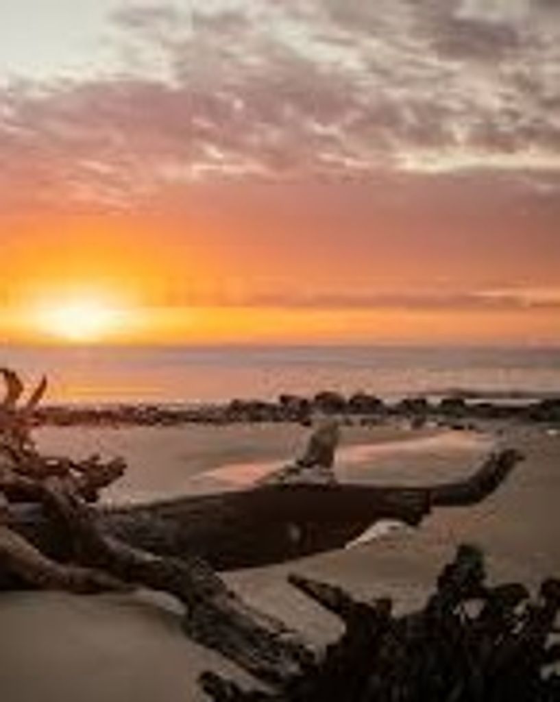 Willie James Montgomery, Jr. Profile Photo