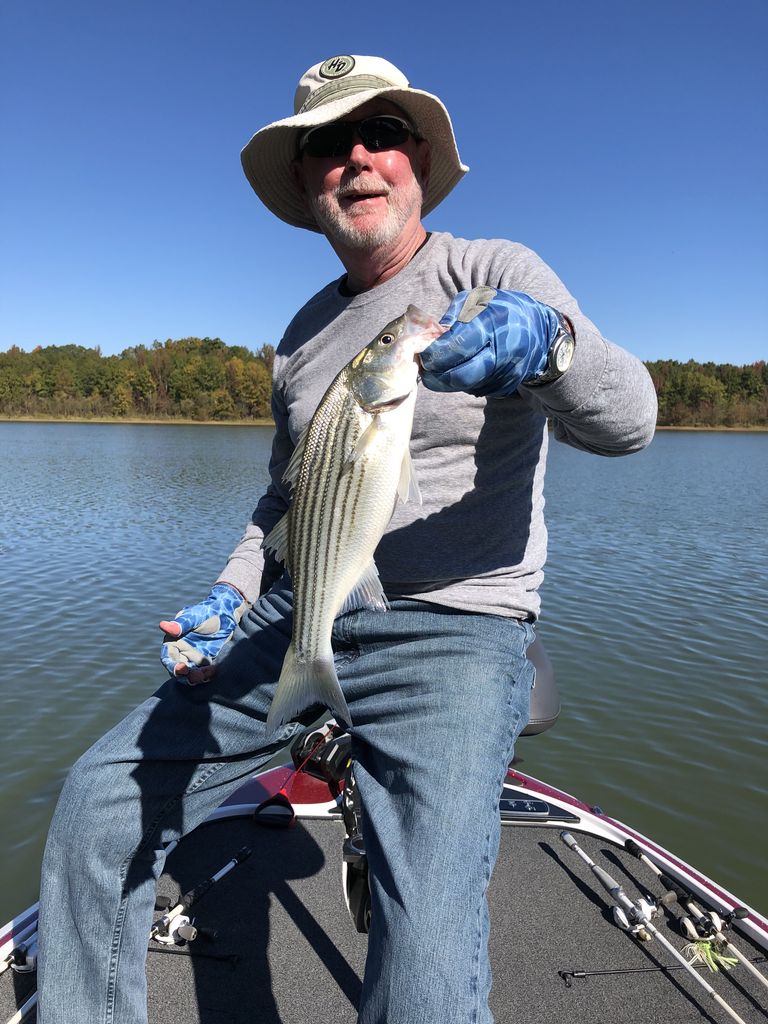 Gary Lee Simmons Profile Photo