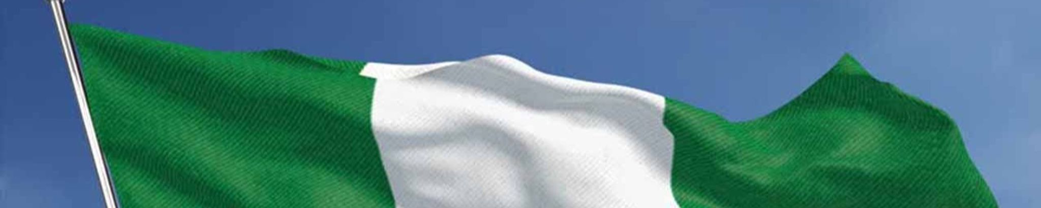 Cover for Olusola Anthony Adefemi's Obituary