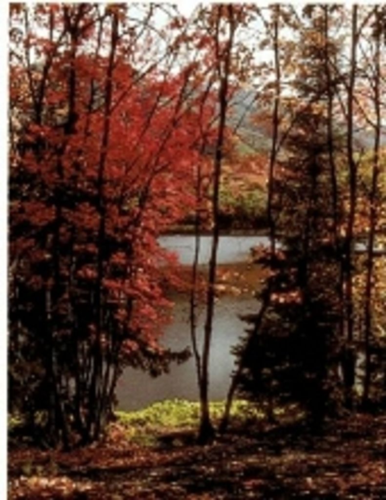 Kenneth R. Drapp Sr.