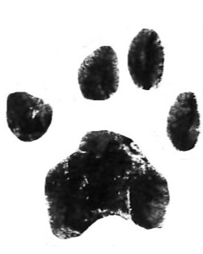 Blue Alberto Profile Photo