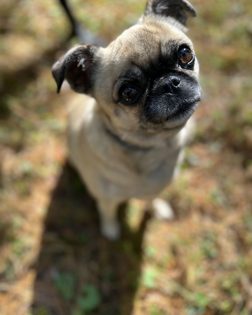 Lulu Profile Photo