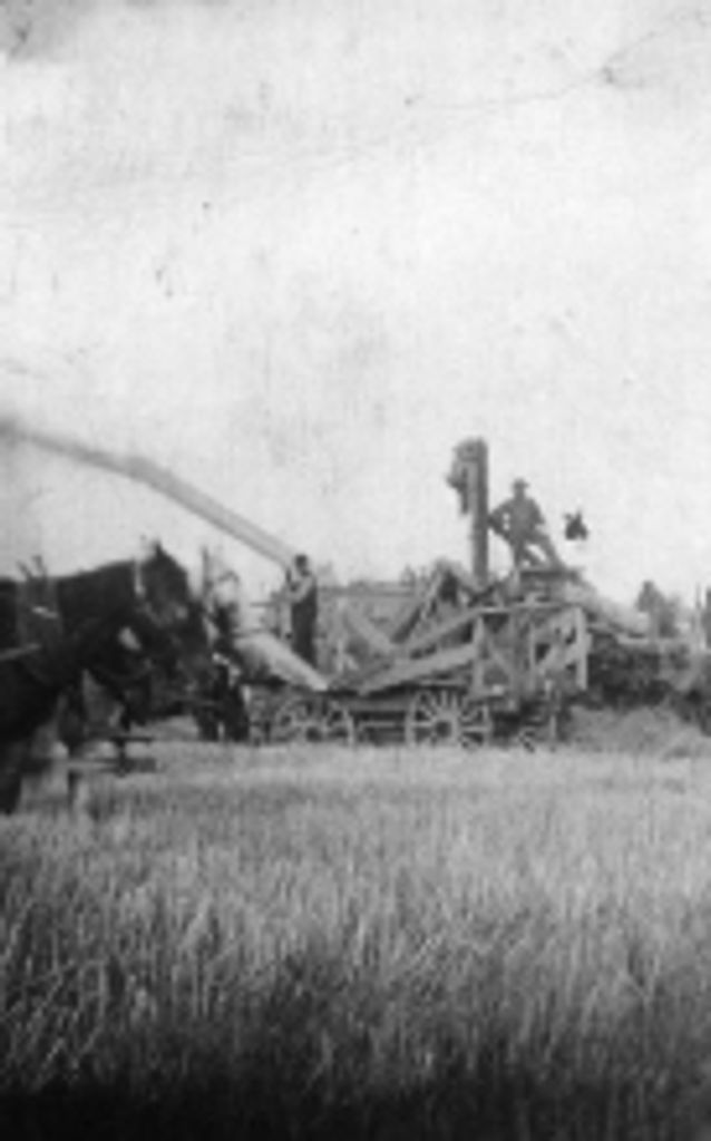 Vernon Boese Profile Photo