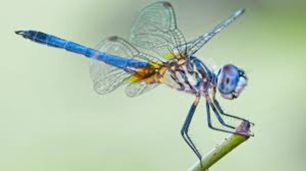 Margaret H. (Britt) Salansky Profile Photo