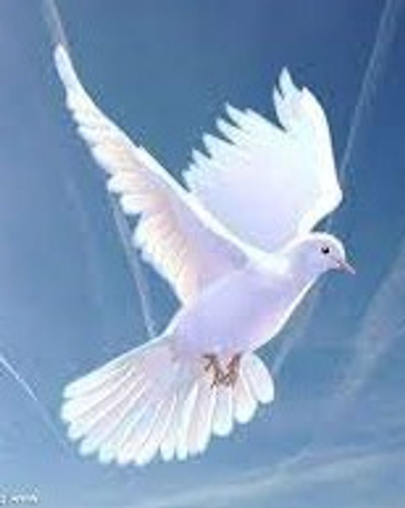 Gary Davis Quesenberry