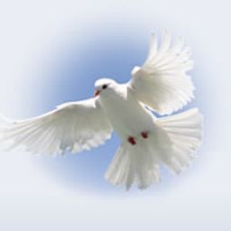 Emblem