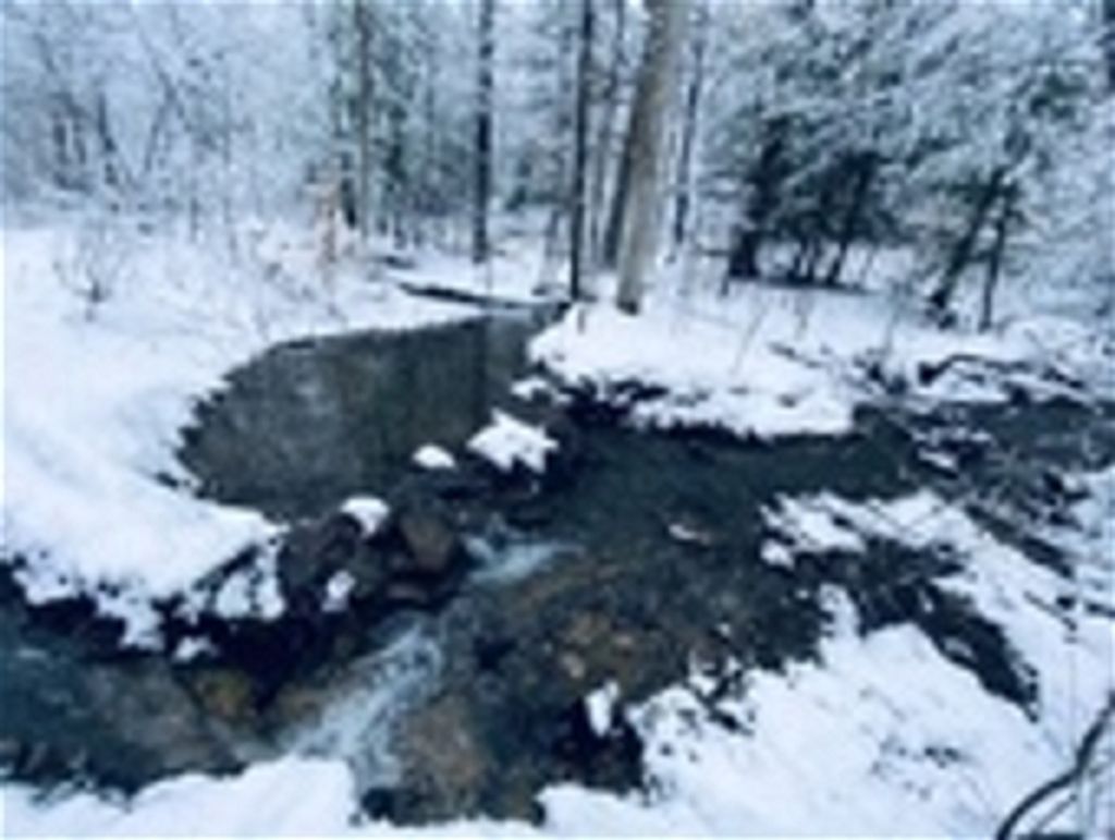 Barbara Jean Espy Profile Photo