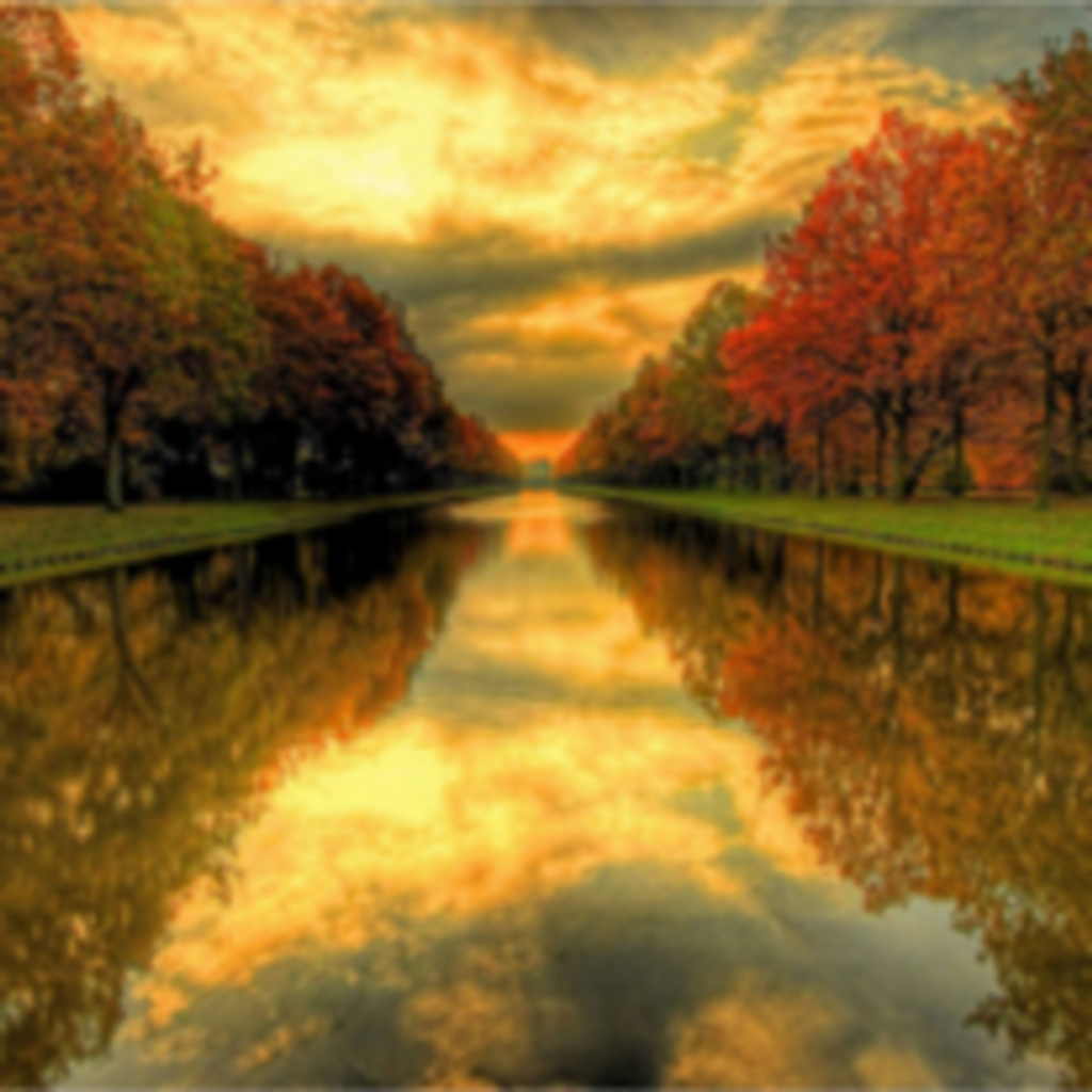 Neil Bernard Donavan