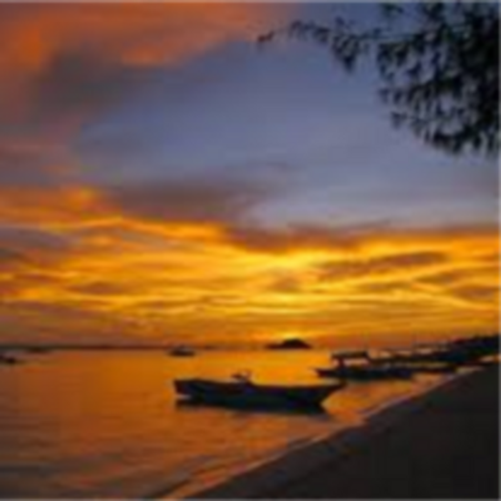 Stephen Arvizu Castorena