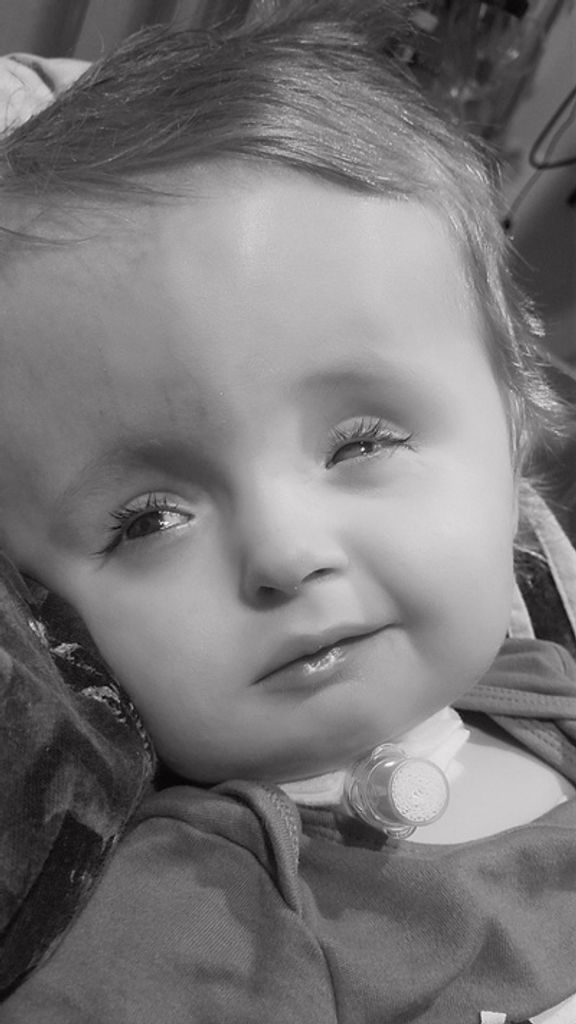 Bennett Howard Profile Photo