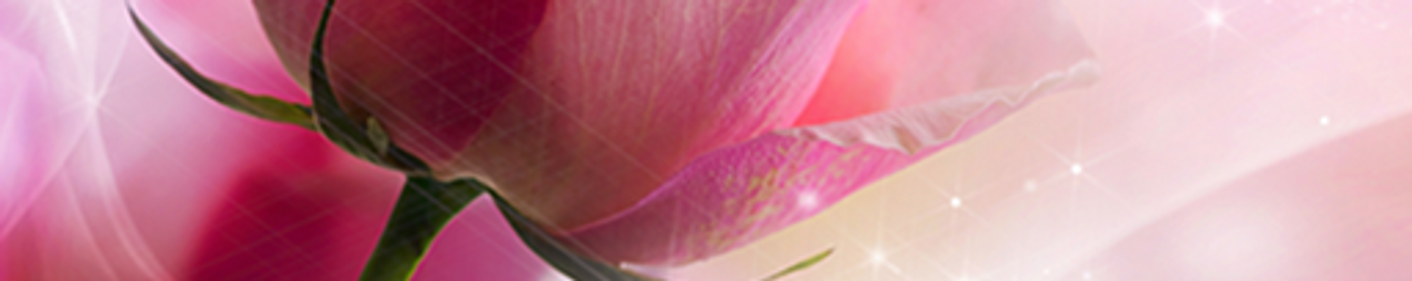 Cover photo for Susie Barela's Obituary
