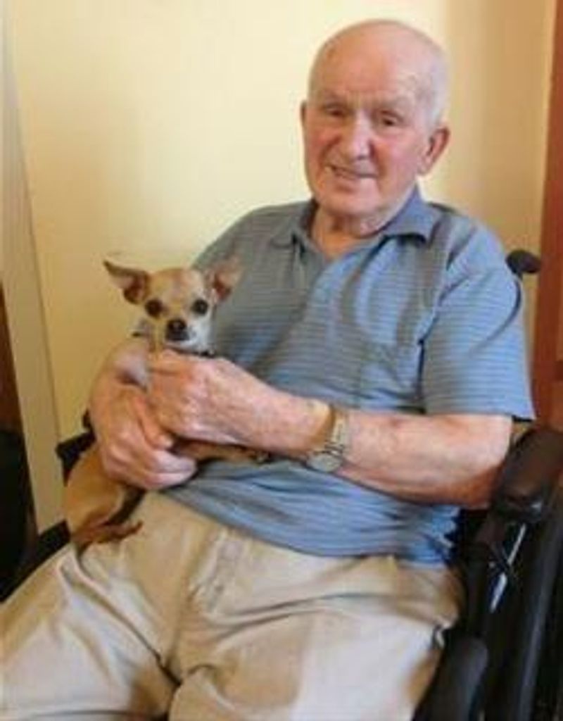 Wilson Cator Stockley Profile Photo