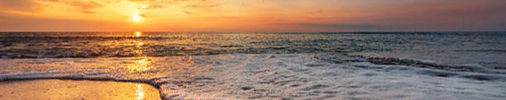 Cover for Diane Rose (Roling) Tigges's Obituary