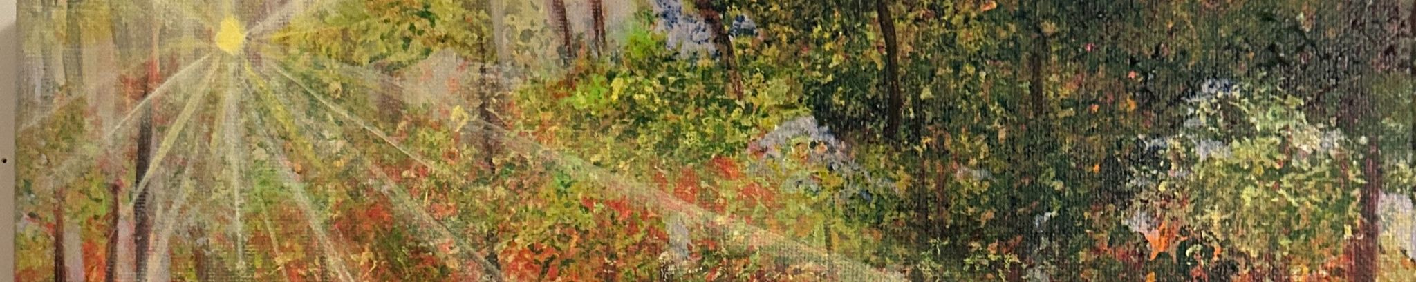 Cover for Carol Holland Stein's Obituary