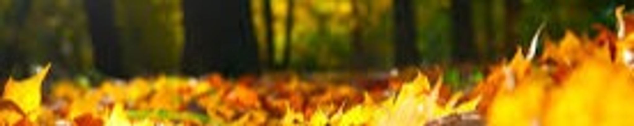 Cover photo for Kenneth Gordon McClure's Obituary