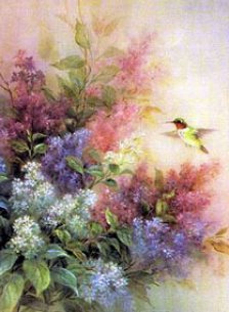 Debra Belisle