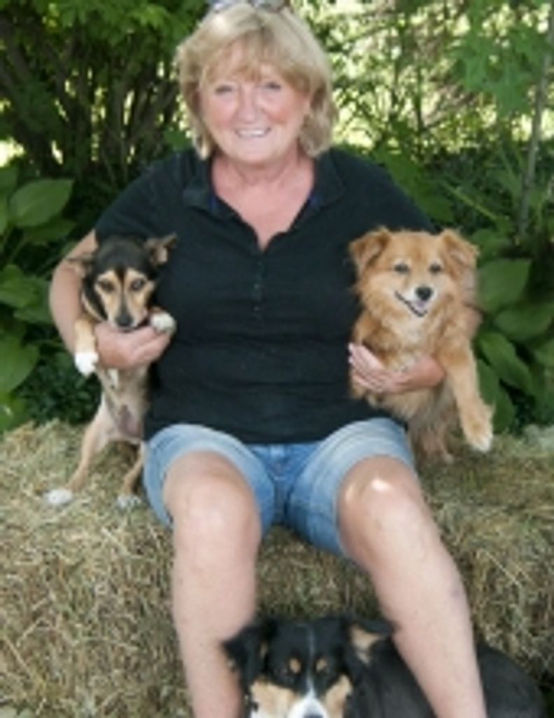 Joyce Rae Kicos