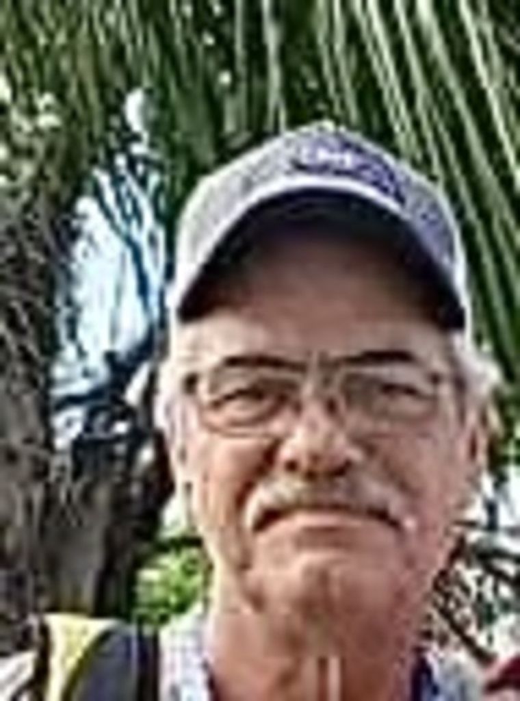 David Hollingsworth Profile Photo