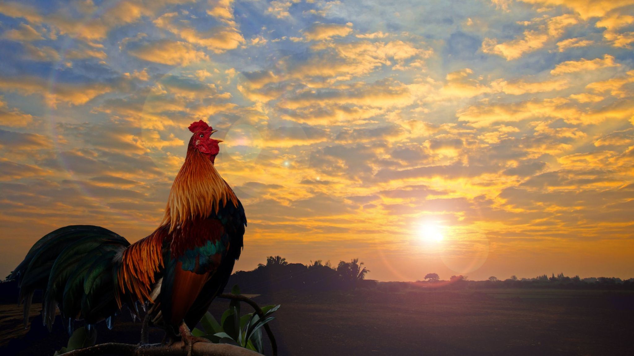 Cover photo for Kathleen E. "Kitty" Christopher's Obituary