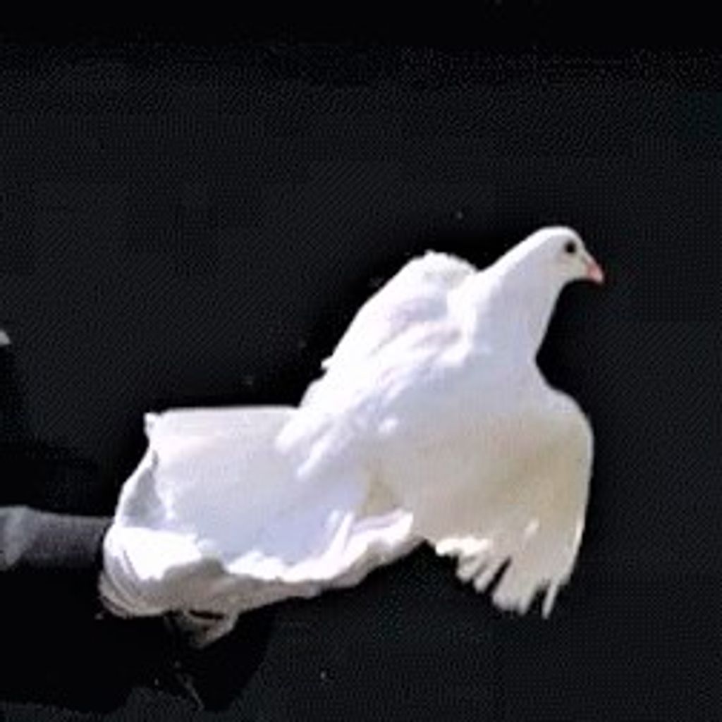 Lorinea (Jones)  Walker