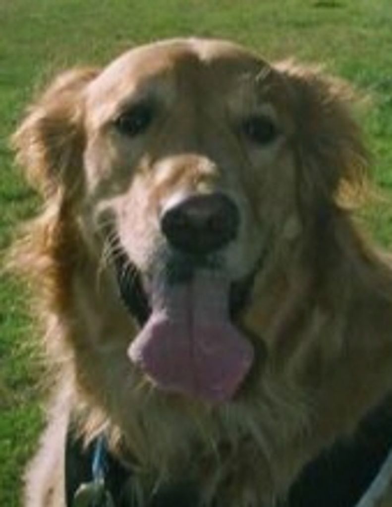 Lady Maddux "Maddie" Gambill