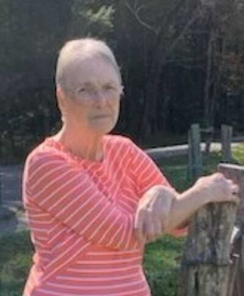 Judith Elaine Smith Profile Photo