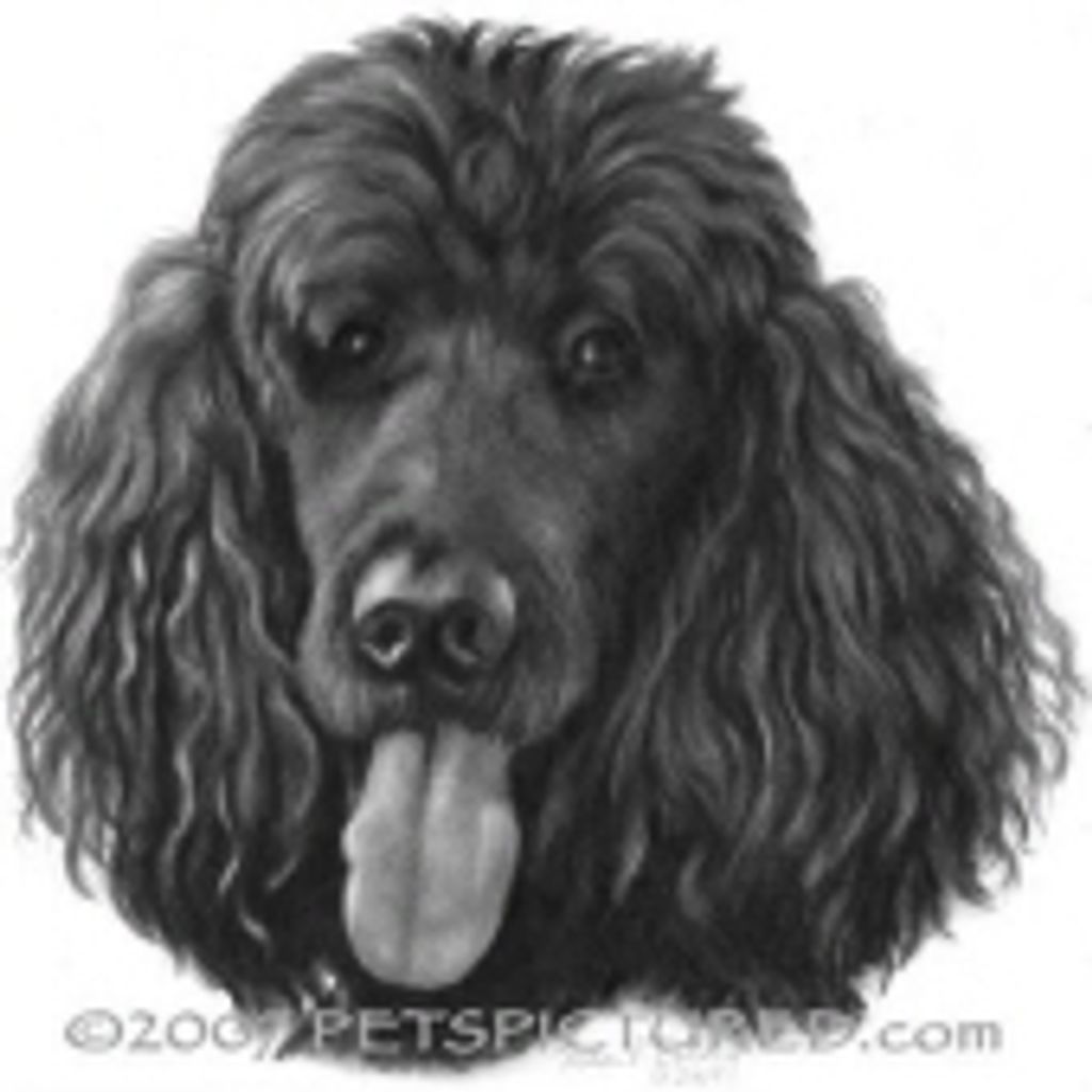 Buddy Sutherland Profile Photo