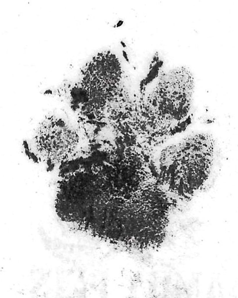 Henry Wilmarth Profile Photo