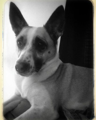 Bella Ramey's obituary image