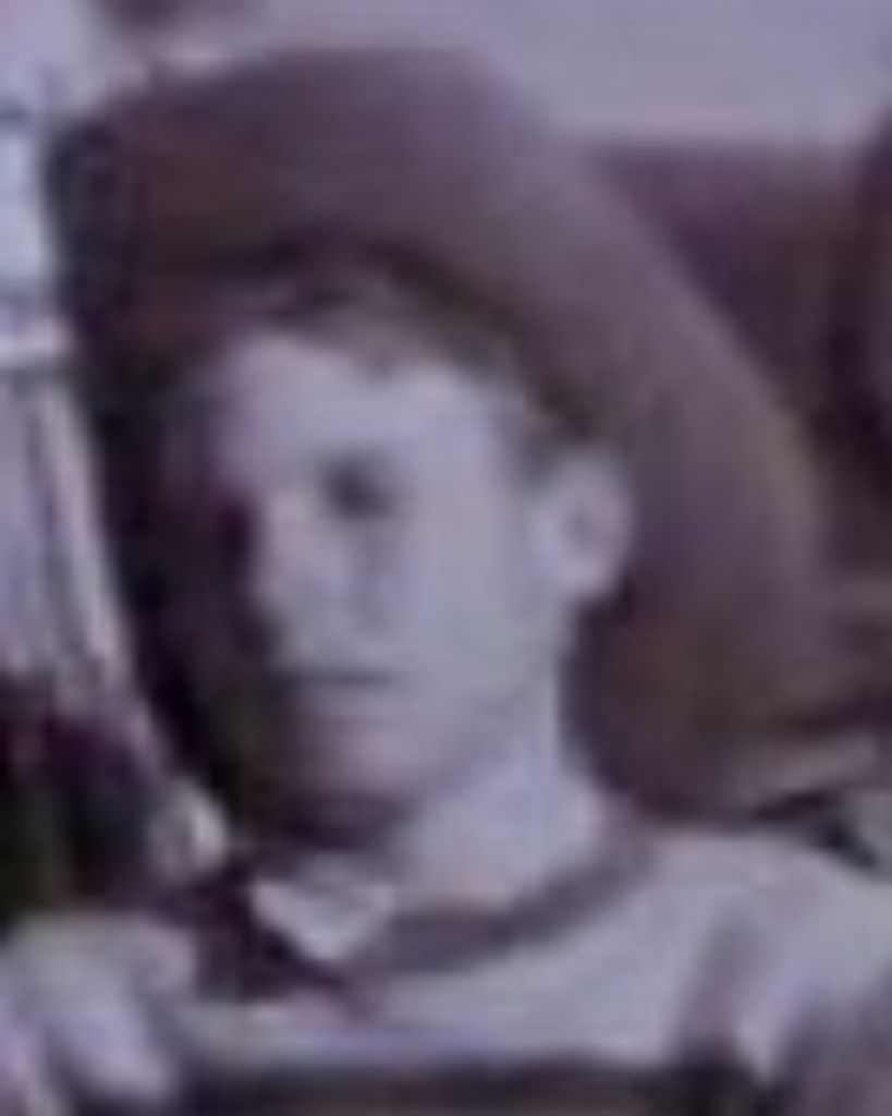 Alma Howard Lambson