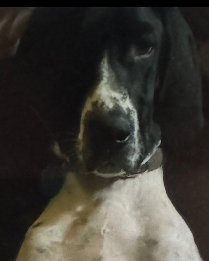 Nova Weaver Profile Photo