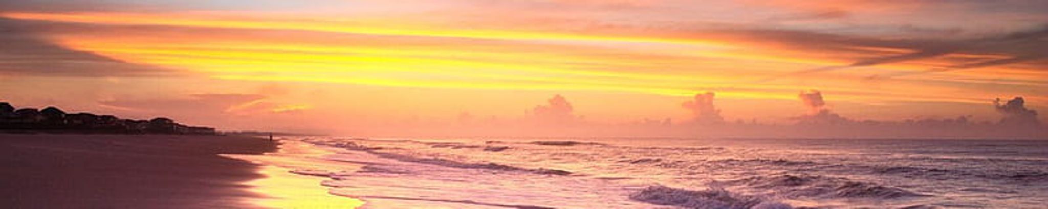 Cover photo for Priscilla Ciaffaglione's Obituary